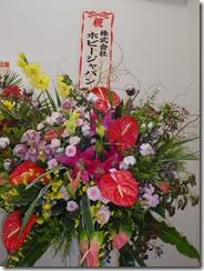 IMGP0024