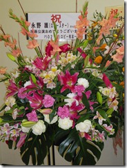 IMGP0025